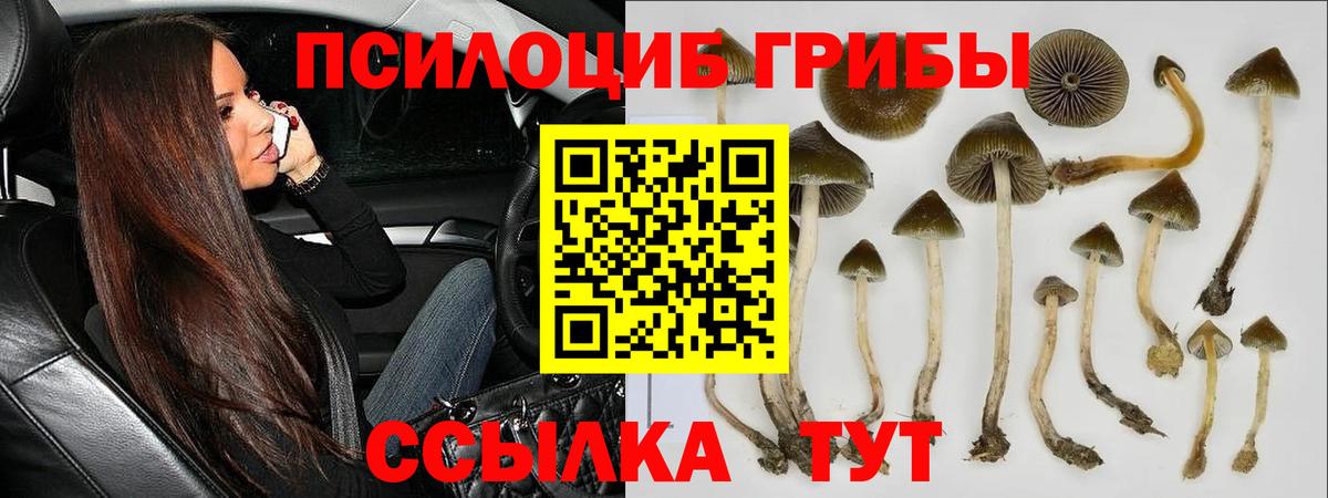 Галлюциногенные грибы ЛСД  Вход с VPN  Асбест 